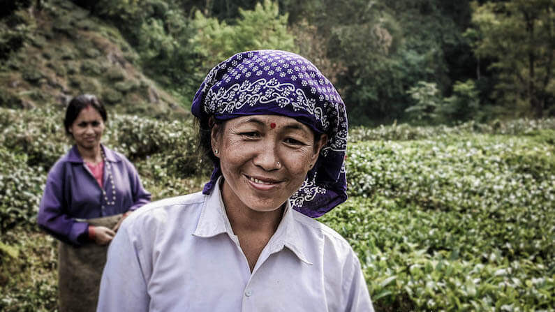 Travel Shot: Tea pickers near Darjeeling in India