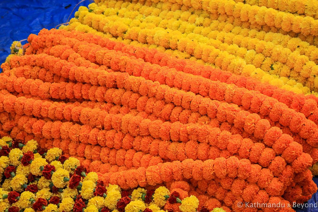 Calcutta Flower market-21