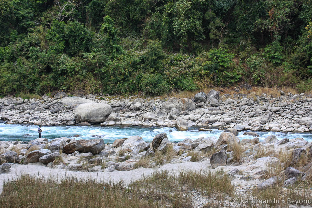 Darjeeling. Glenburn Tea Estate (camp) 40