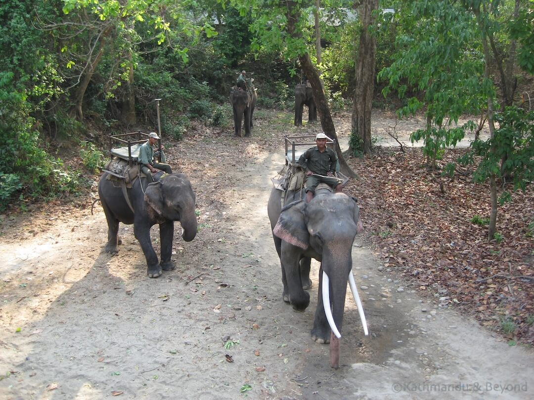 Chitwan - May09 052