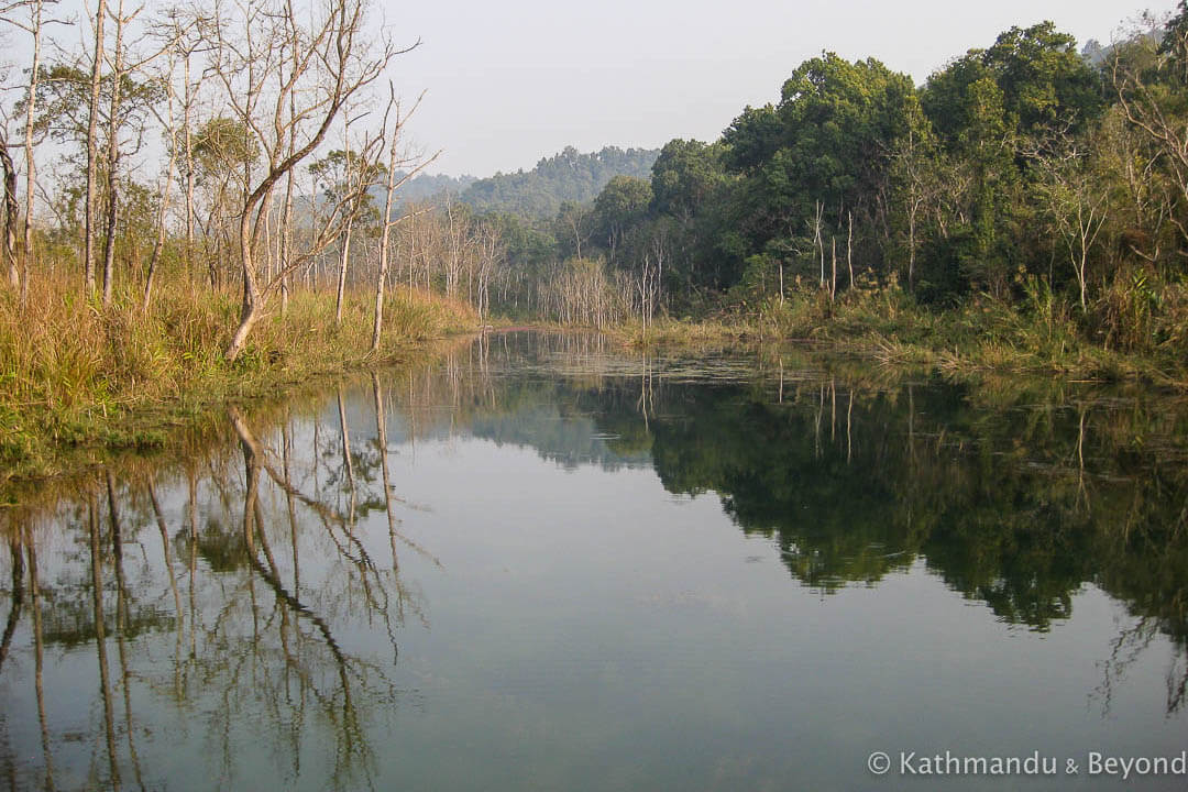 Chitwan National Park 11