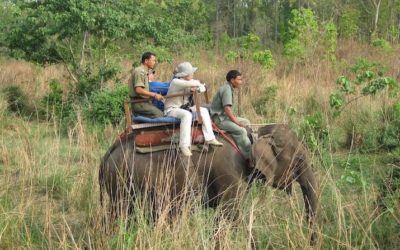 Chitwan Jungle Adventures