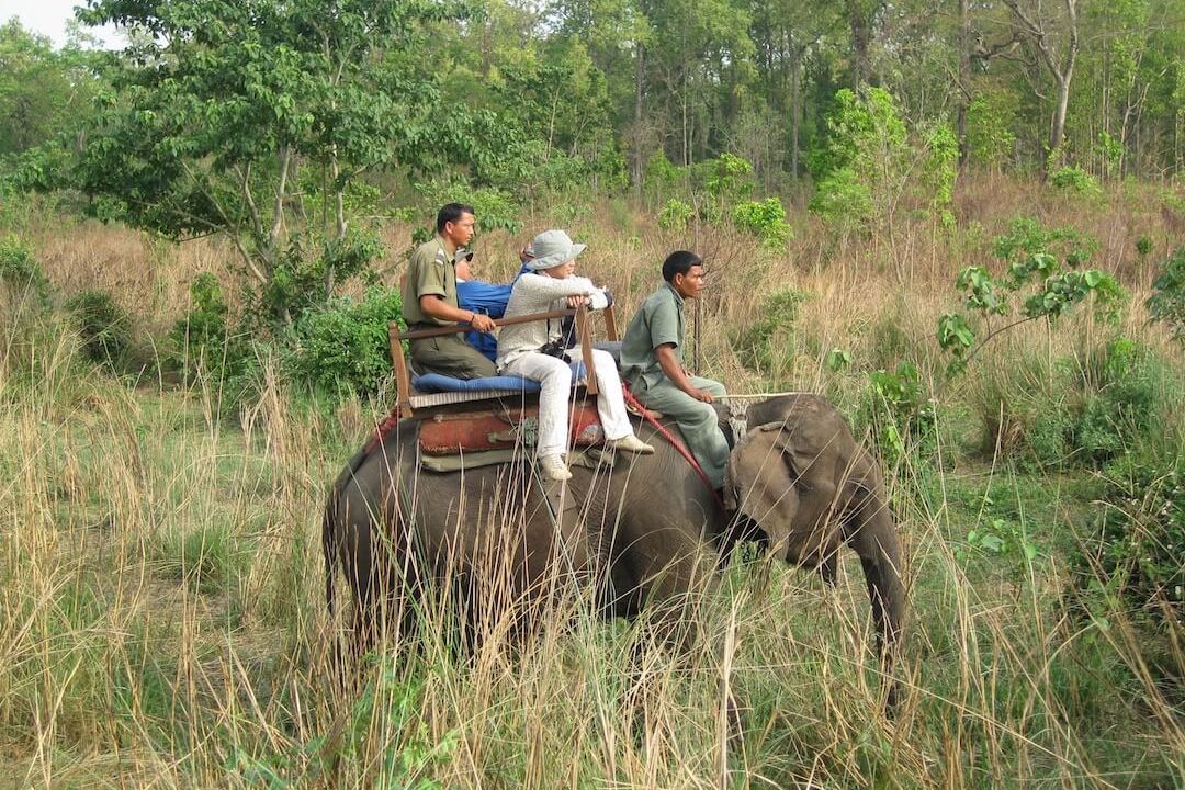 Chitwan National Park Nepal