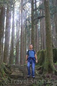 Alishan Forest Recreaction Area Taiwan 1