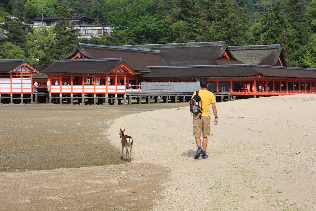 Itsukushima Shrine Miyajima Japan 1 (1)