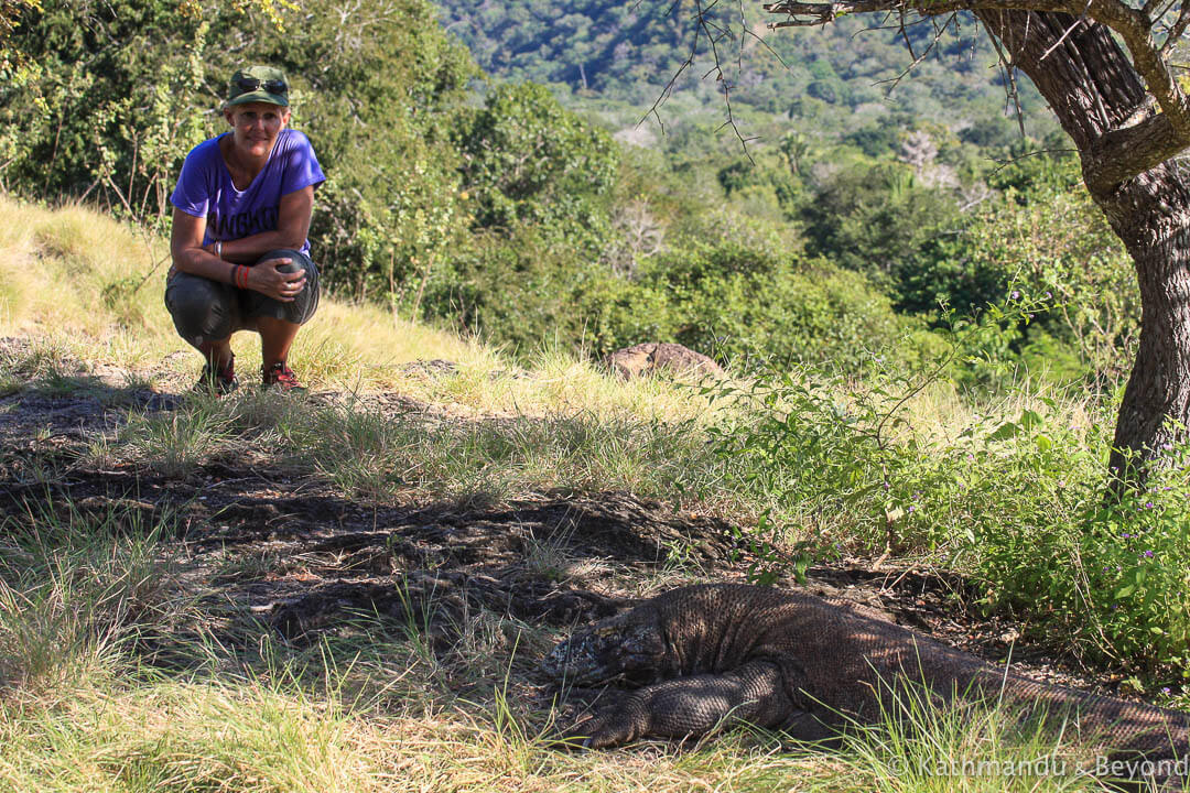 Komodo Island Komodo National Park Indonesia 151