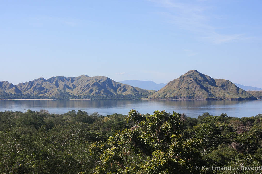 Komodo Island Komodo National Park Indonesia 2122