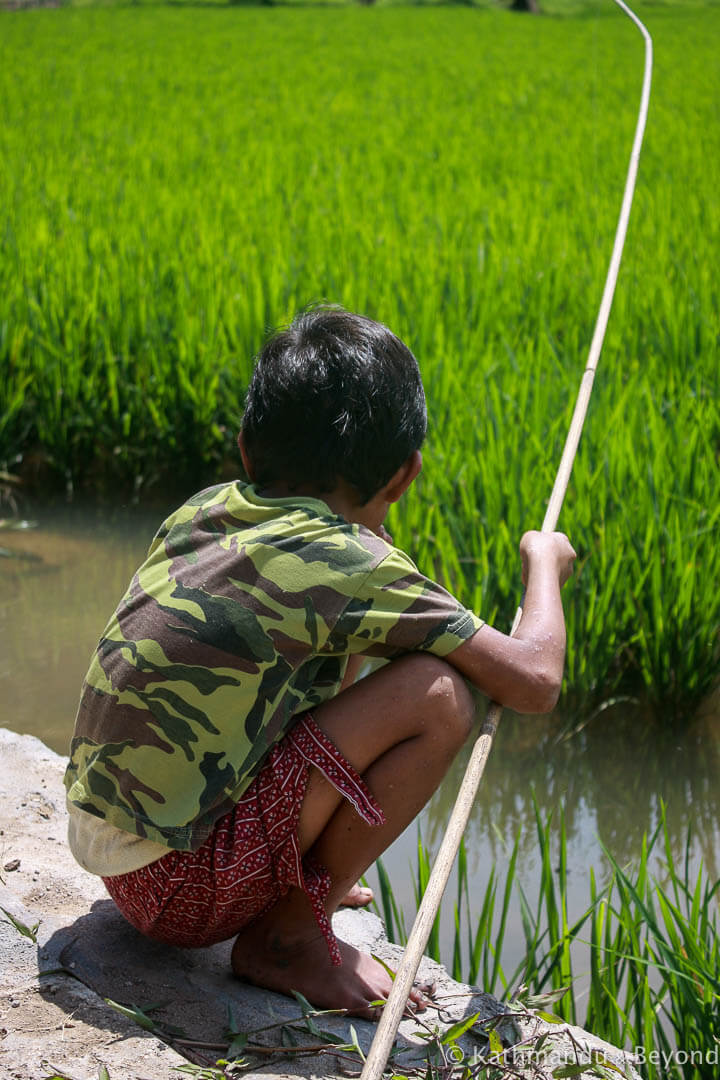 Tampangallo Toraja Sulawesi Indonesia 527