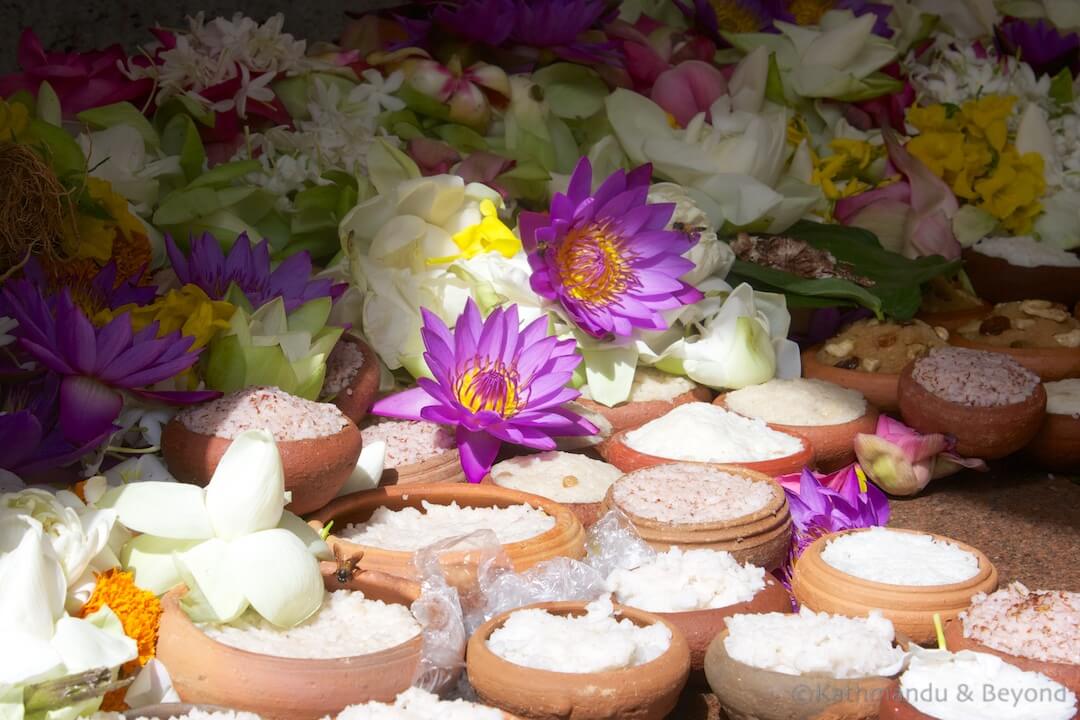 Sri Maha Bodhi Anuradhapura Sri Lanka 103