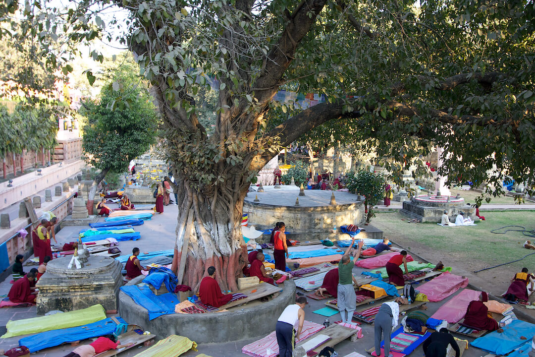 Mahabodhi Temple Bodhgaya India (10)