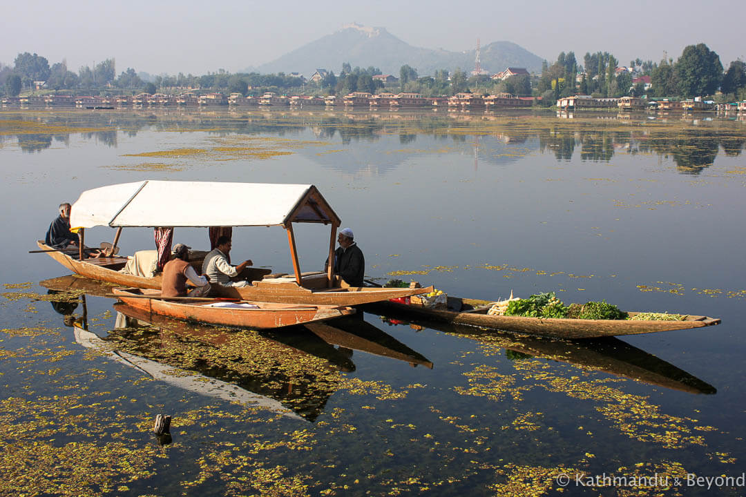 Nagin Lake Srinagar Kashmir India 32-2