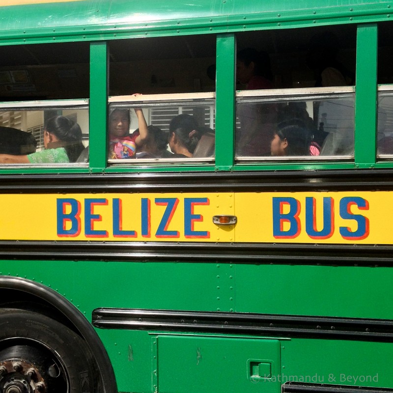Chicken bus Belize