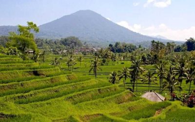 Visiting Jatiluwih Rice Terraces in Bali, Indonesia