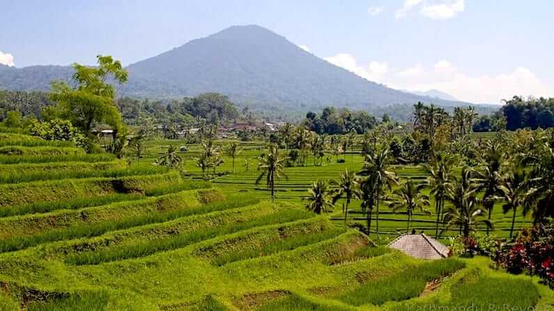 Visiting Jatiluwih Rice Terraces in Bali, Indonesia