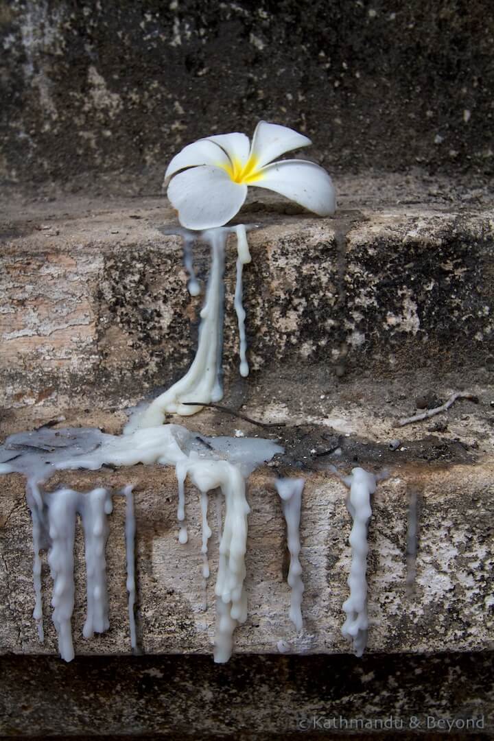 Wat Pa Pao Chiang Mai Thailand (10)