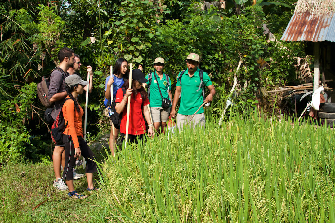 Bongkasa Bali Indonesia (5)