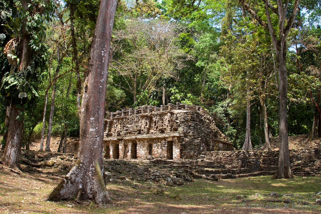 El Laberinto Yaxchilán Mexico (1)