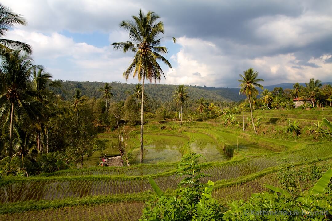 Munduk Bali Indonesia (1)