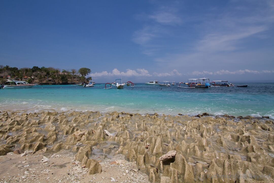 Mushroom Bay Lembongan Island Bali Indonesia (2)