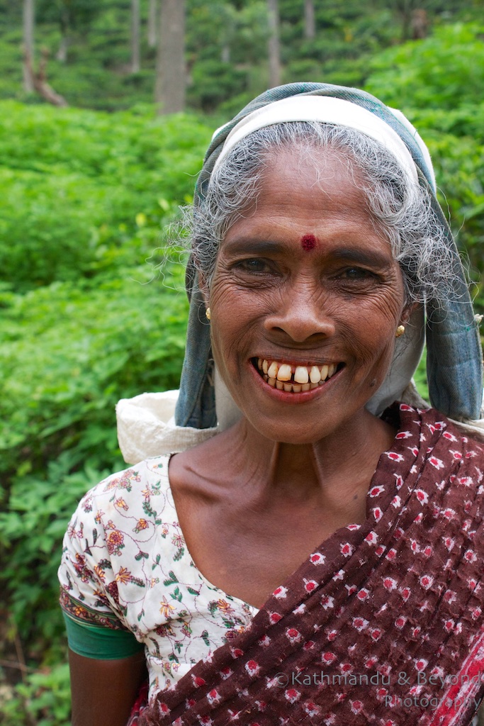 Dambatenne Tea Estate Haputale Sri Lanka | Fourteen countries, fourteen smiles