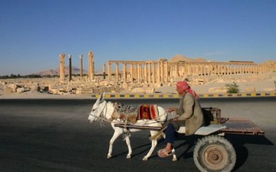 Friday Flashback | Palmyra in pre-civil-war Syria