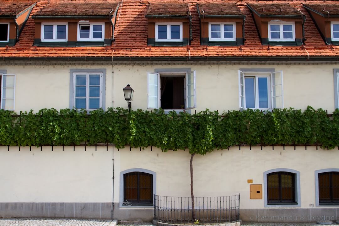 The Old Vine House Lent Maribor Slovenia