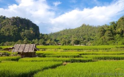Five Places in Northern Thailand Not to Miss