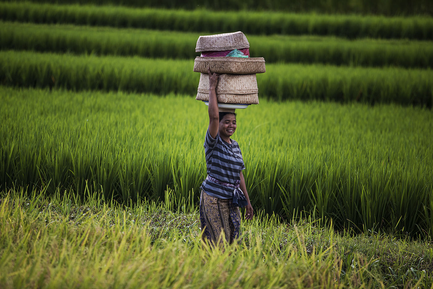 Bali Rural Commune