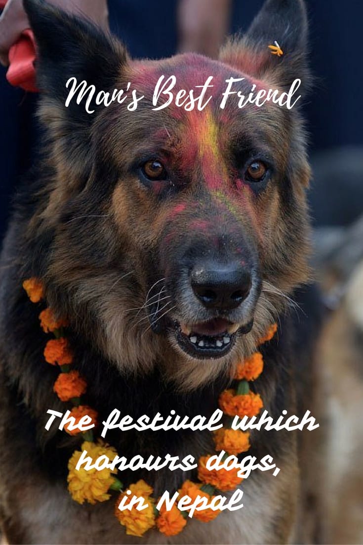 Kukur Tihar Festival (Kukur Puja) in Nepal - a celebration in honour of dogs