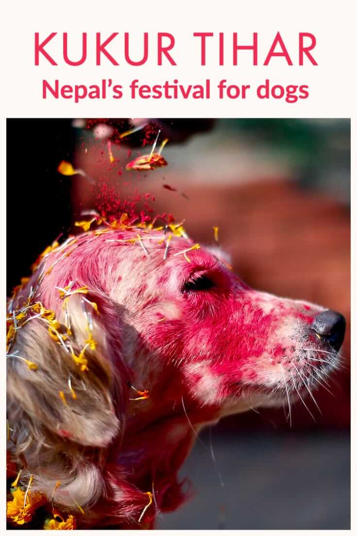 Kukur Tihar Festival (Kukur Puja) in Nepal - a celebration in honour of dogs