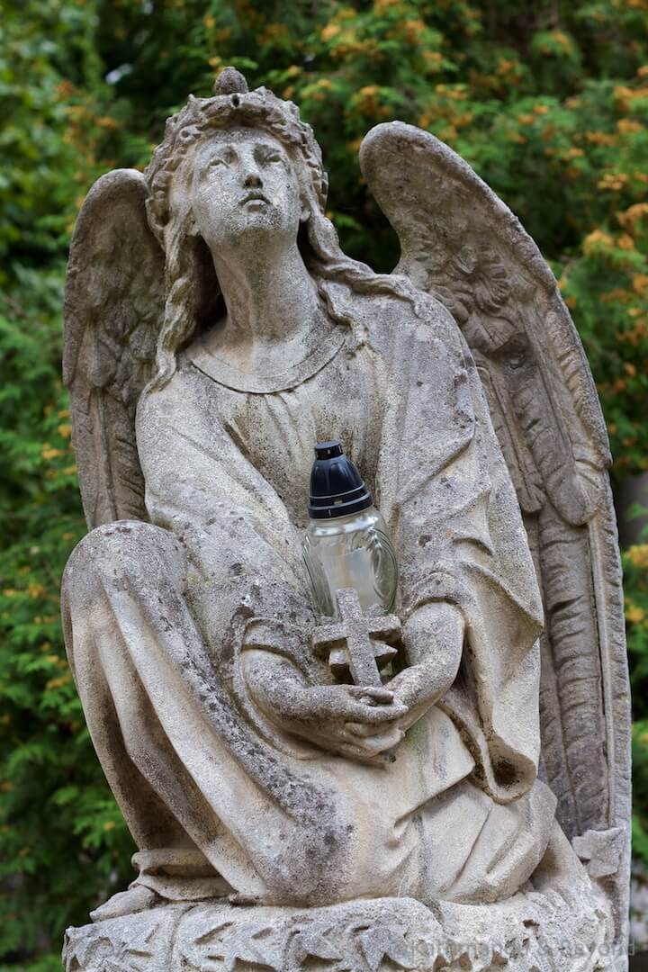 Lychakivske Cemetery Lviv Ukraine (4)