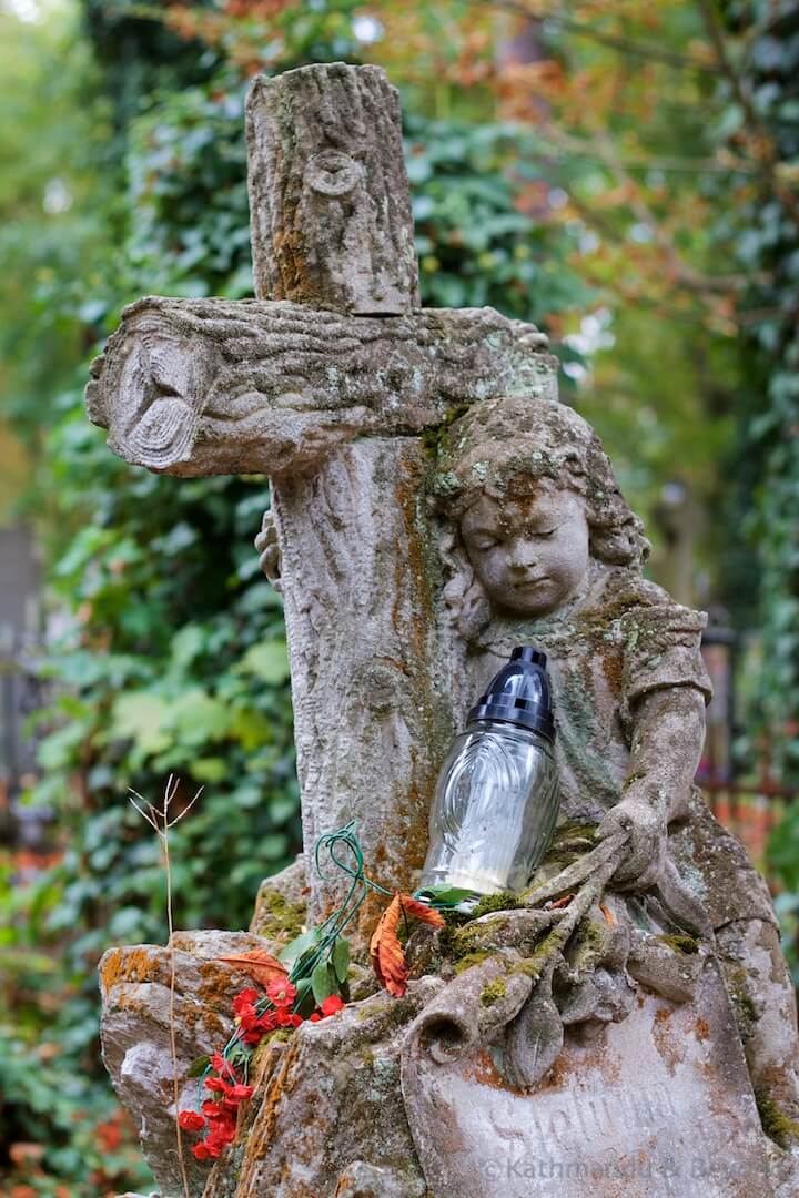 Lychakivske Cemetery Lviv Ukraine (9)