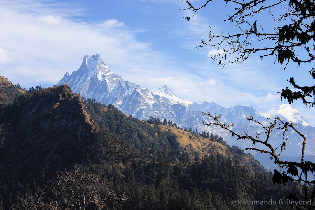 Tadopani to Ghorepani Annapurna region Nepal 2