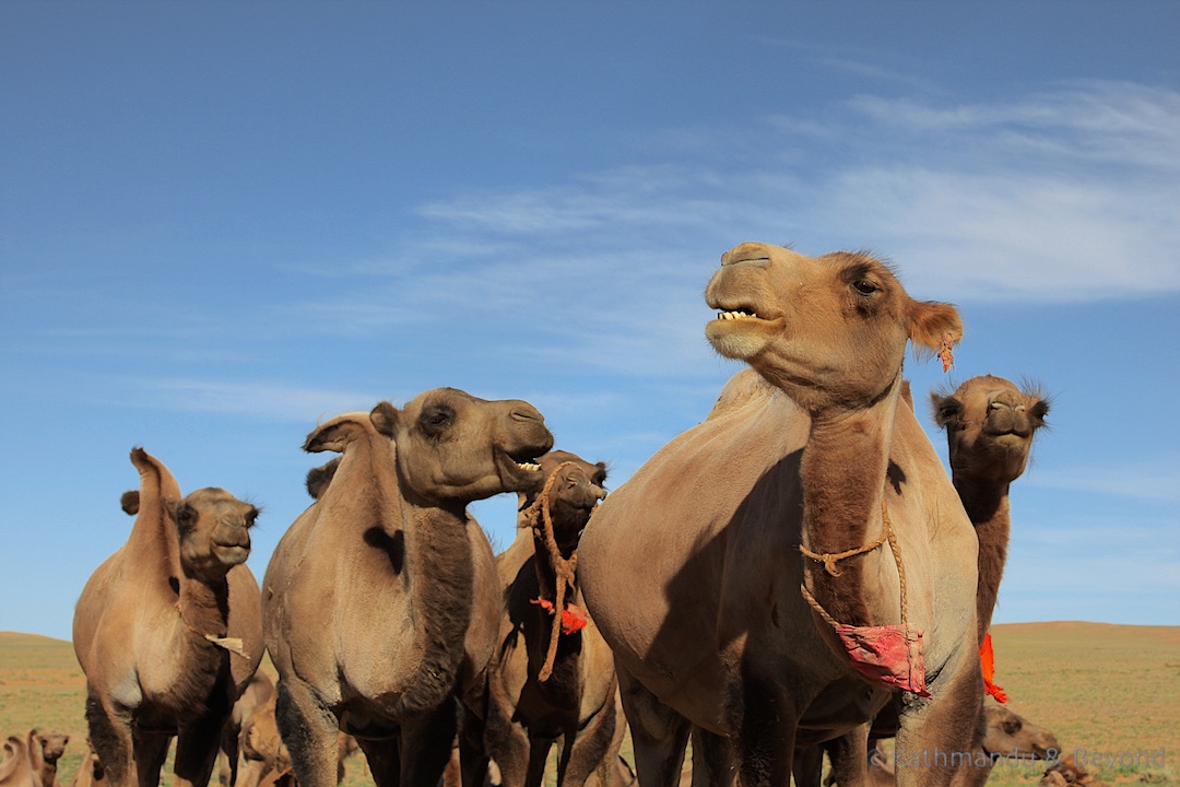 Tsagaan Suvraga Mongolia 52