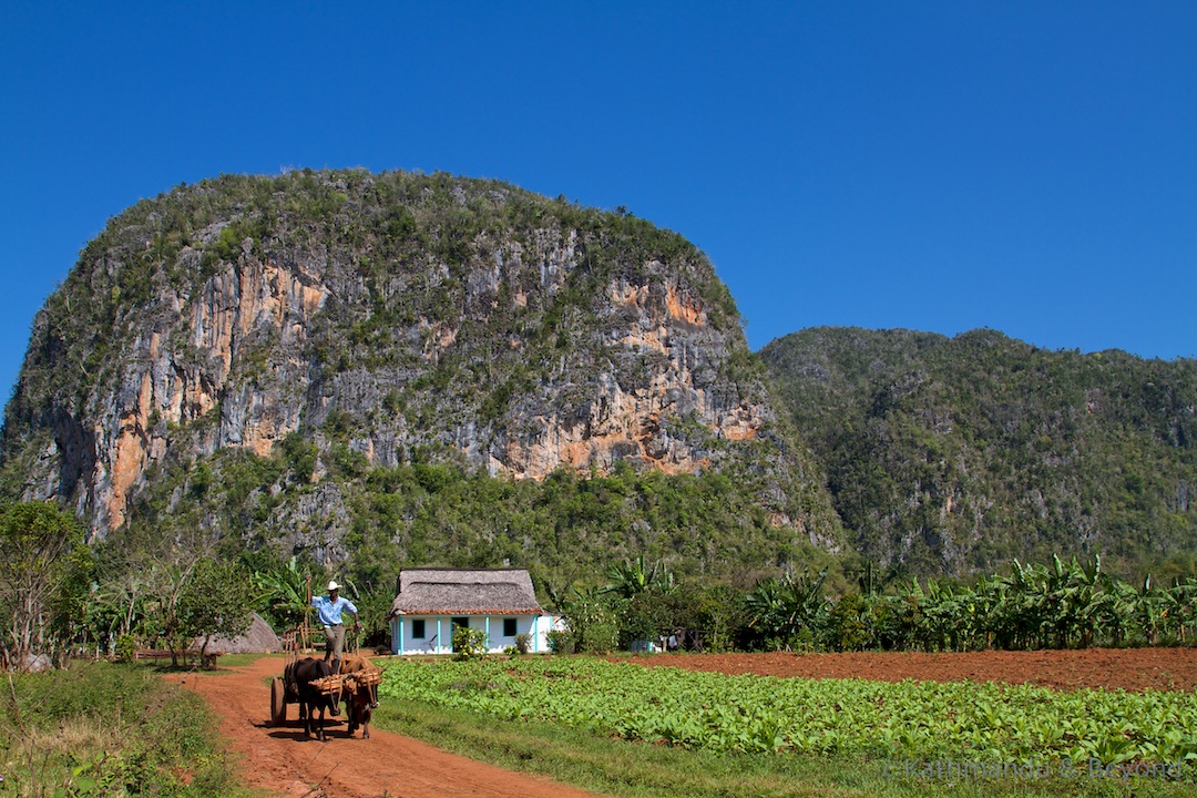 Valle de Palmarito Vinales Cuba (2)