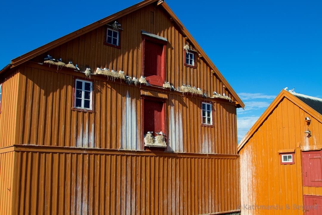 Vardø Finnmark Norway (16)