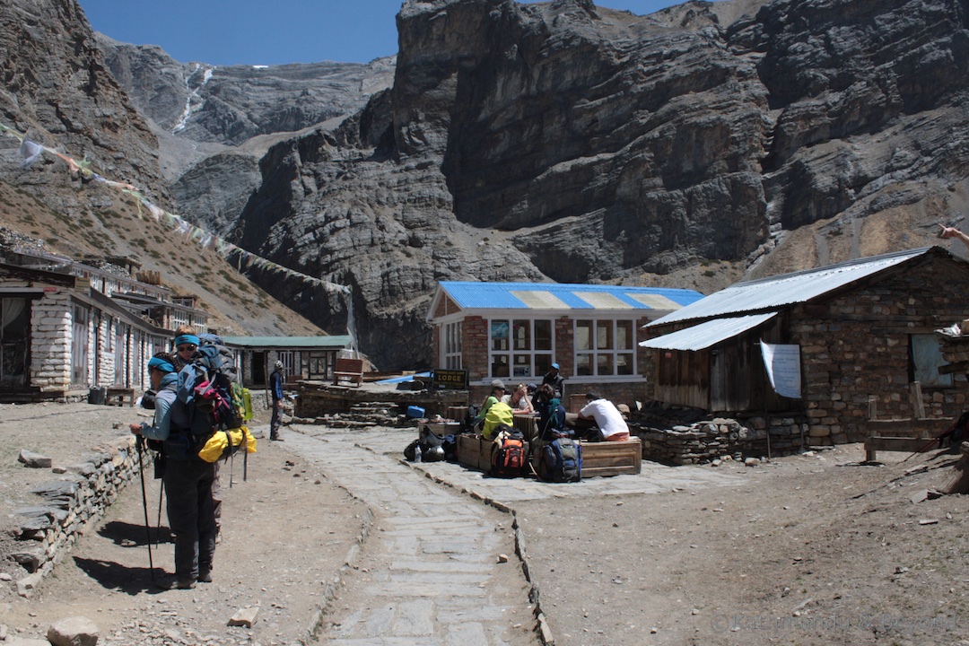 Around Annapurna. Thorung Phedi 2