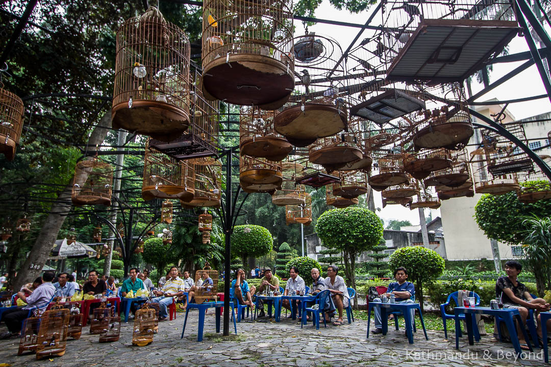 Bird Cafe Tao Dan Park Ho Chi Minh City Vietnam (2)
