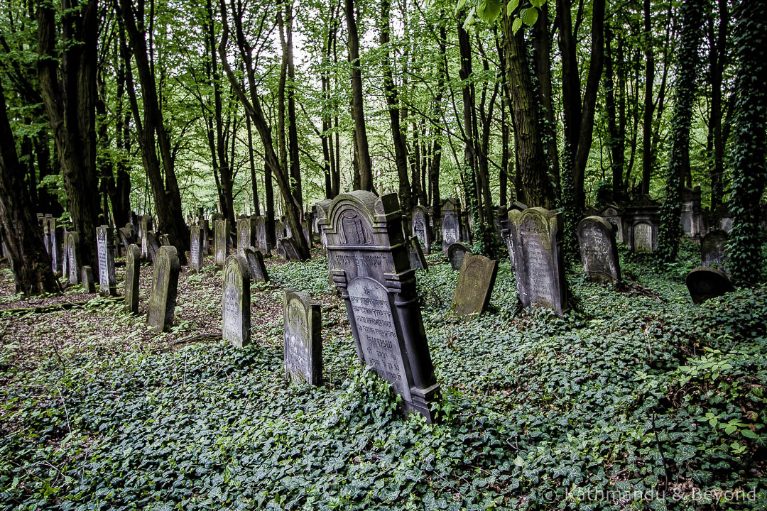 Jewish Cemetery Litzmannstadt (former Jewish ghetto) Lodz Poland-6