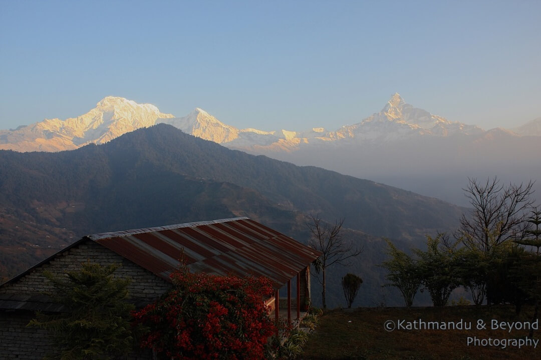 Annapurna region Dhampus-3