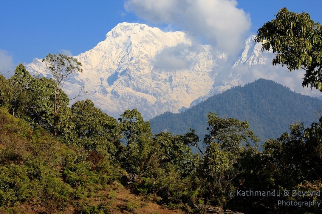 Annapurna region Dhampus-4