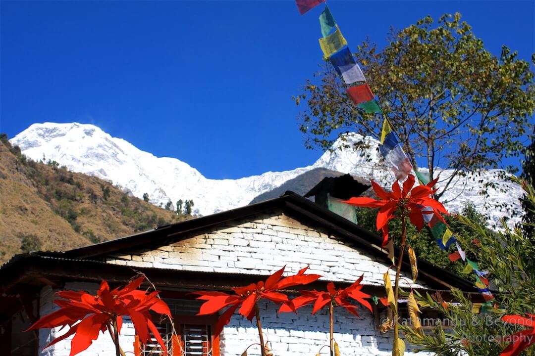 Annapurna region Landruk to Chhromrong-4 Jhinu Danda-1
