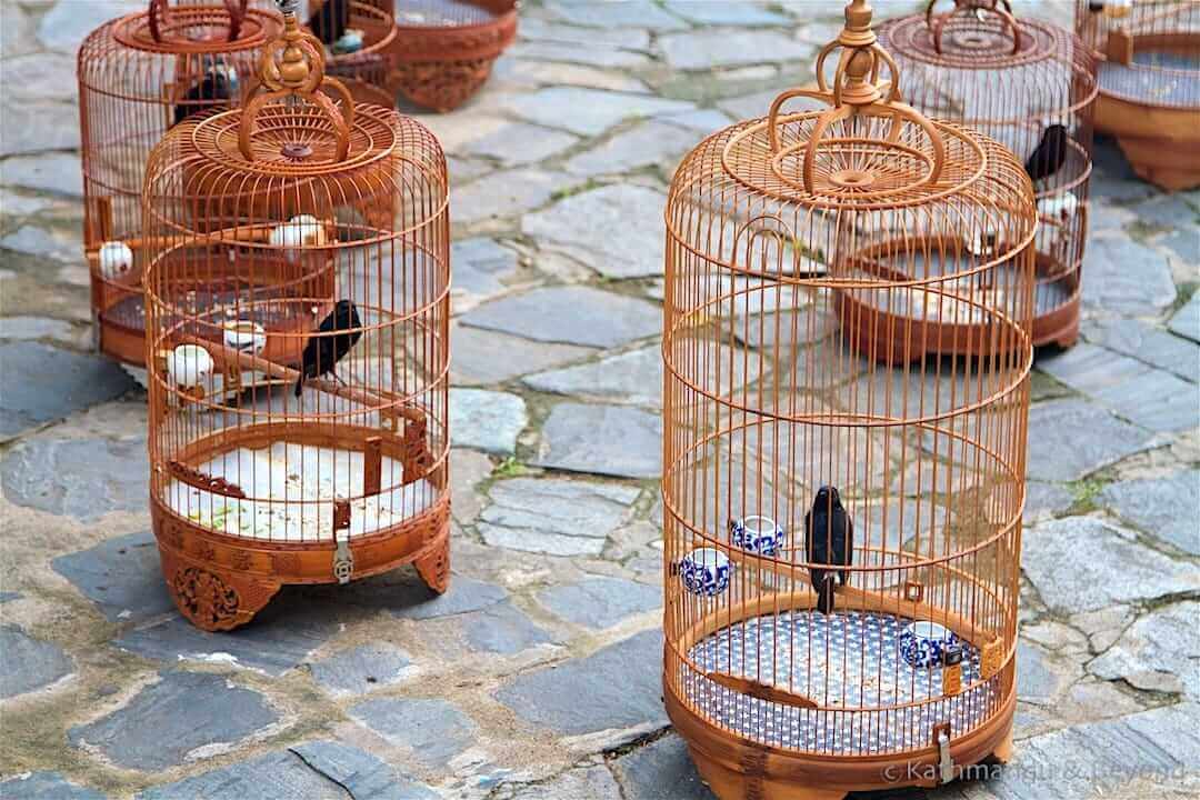 Bird Cafe Tao Dan Park Ho Chi Minh City, Vietnam