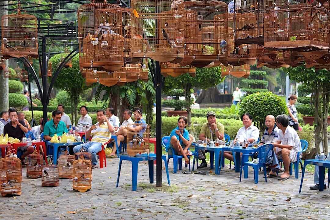 Bird Cafe Tao Dan Park Ho Chi Minh City, Vietnam