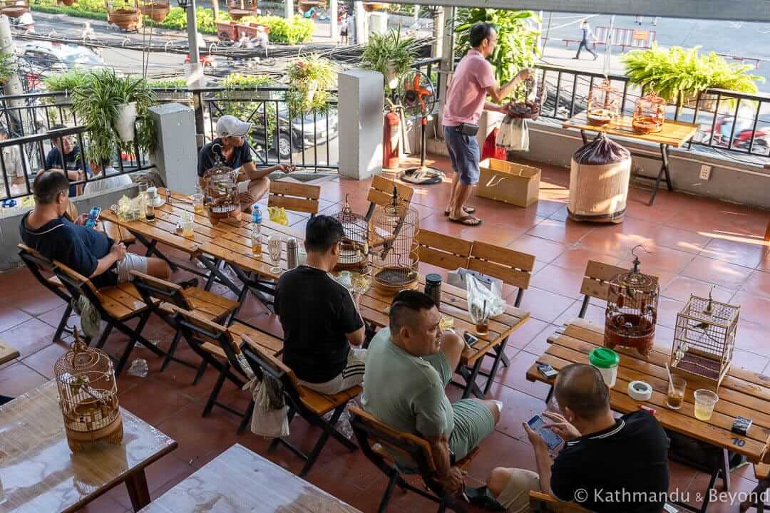 Cong Doan Cafe (Bird Club) Ho Chi Minh City Vietnam-18