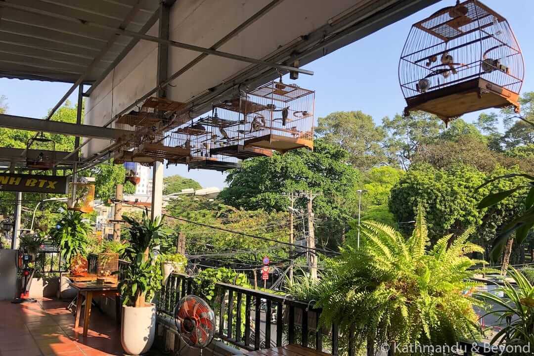 Cong Doan Cafe Bird Club, Saigon, Vietnam