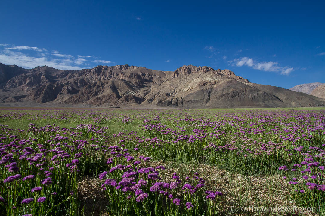 Madiyan Valley Murgab Pamir Highway Tajikistan-3