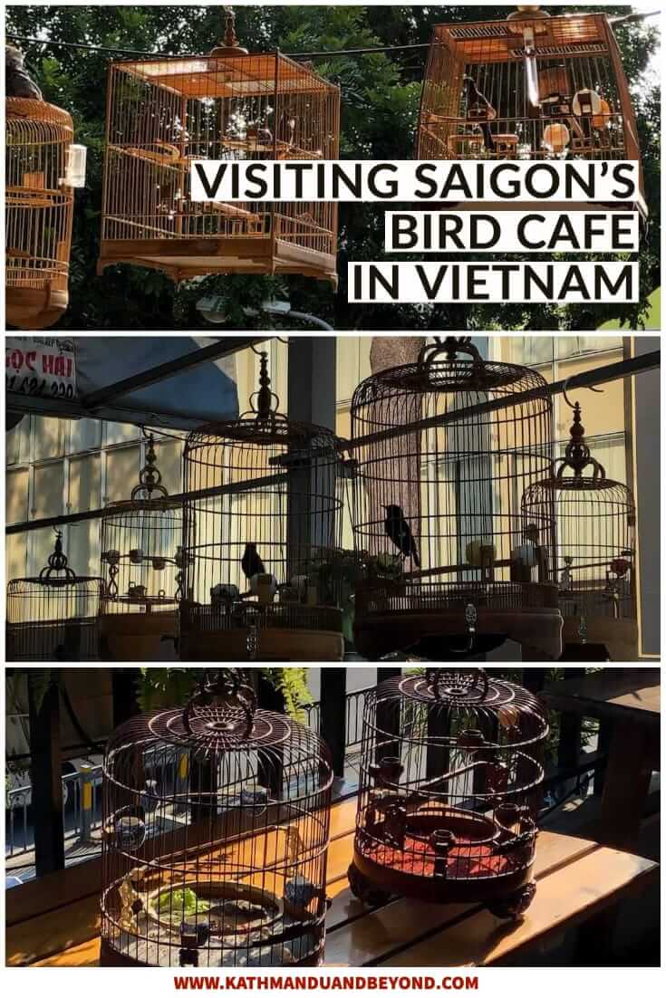 Saigon's Bird Cafe at Cong Doan Bird Art Club in Ho Chi Minh, Vietnam #culture #SEAsia #travel
