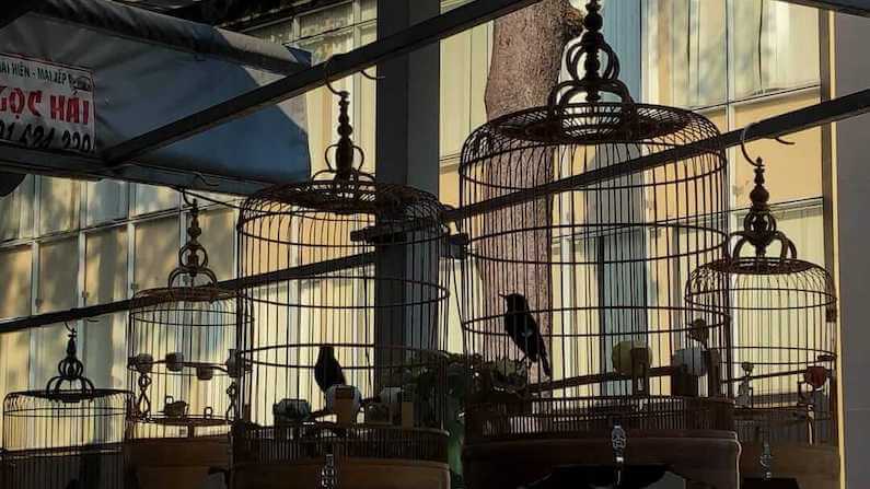 Birdsong at Saigon Bird Cafe in Ho Chi Minh, Vietnam