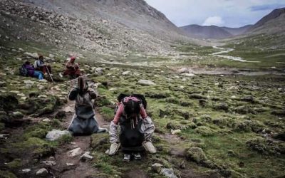 Travel Shot | Mount Kailash Kora in Western Tibet